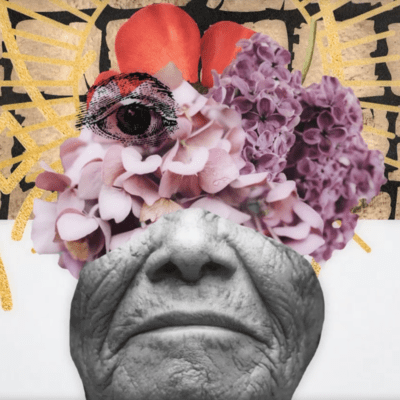 somewhere not here Front Cover