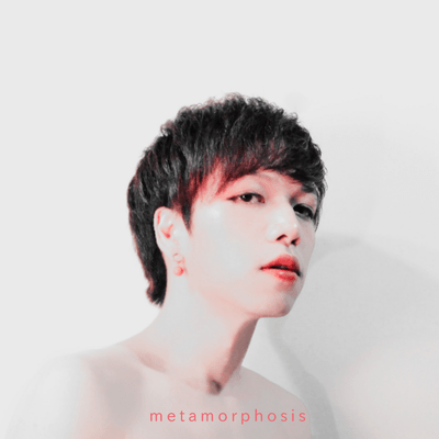 metamorphosisのジャケット写真