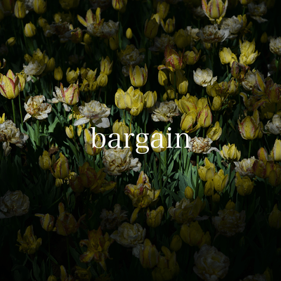 bargainのジャケット写真