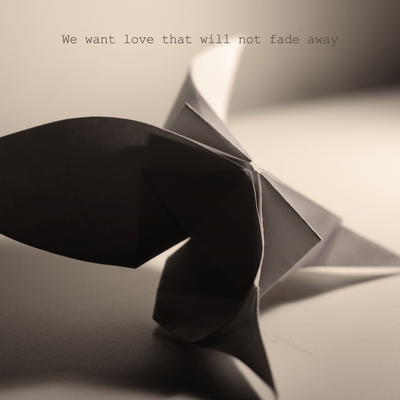 We want love that will not fade away (feat. Shingo Suzuki) Front Cover