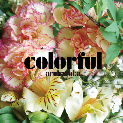 colorful Front Cover