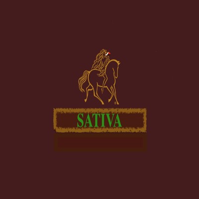 SATIVAのジャケット写真
