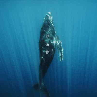 浮遊物のジャケット写真