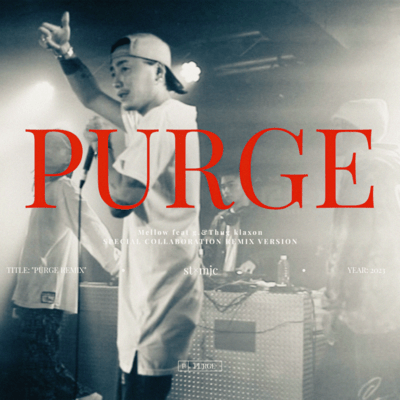 PURGE (Remix) Front Cover