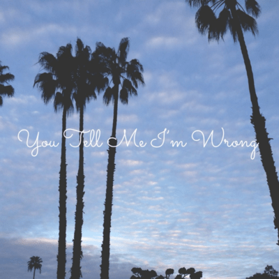 You Tell Me I'm Wrong Front Cover