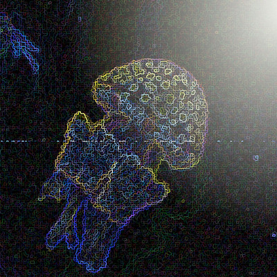 The Jellyfish's Bedroom Front Cover