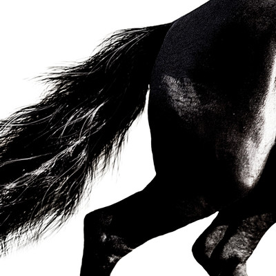 Outsider Front Cover