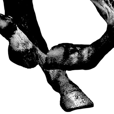 Little Step Front Cover