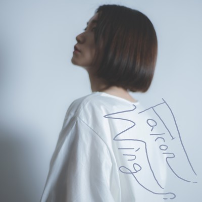 Falcon wing Front Cover