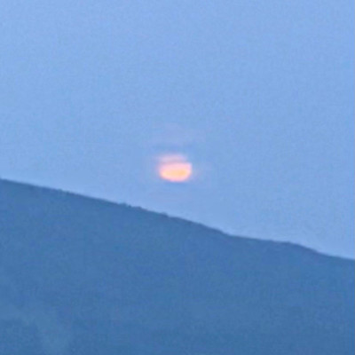 mujoのジャケット写真