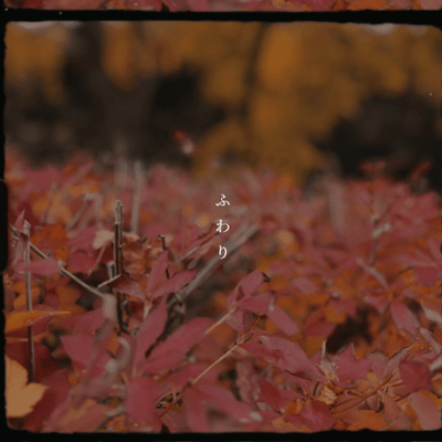 ふわりのジャケット写真