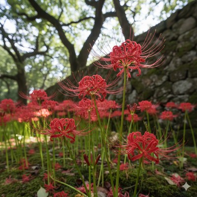 Crescent Moon (feat. Miyamai Moca) Front Cover