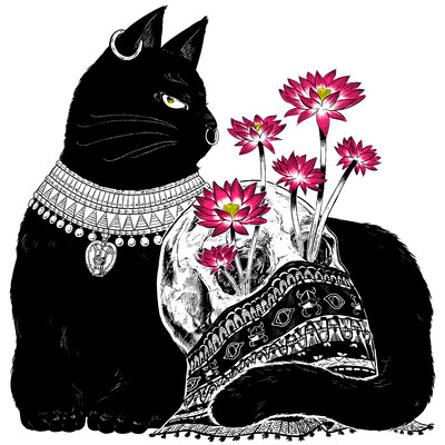 Dark Matter Front Cover