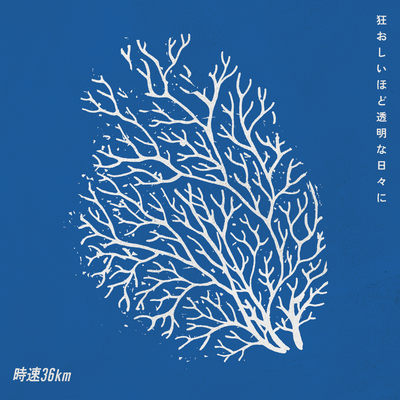 Transparent Blue Front Cover