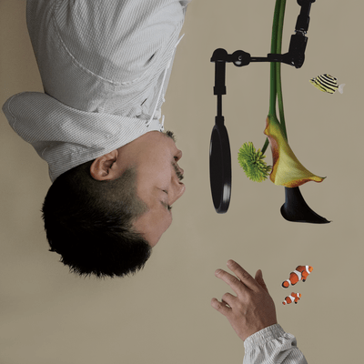 本当ならのジャケット写真