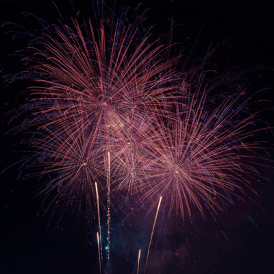 natuzora Front Cover