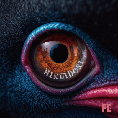 HIKUIDORI Front Cover