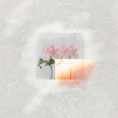 life is Front Cover