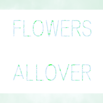 FLOWERS ALL OVERのジャケット写真
