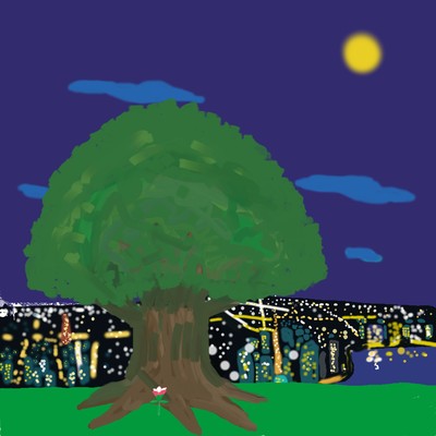 A solution of impossible Front Cover