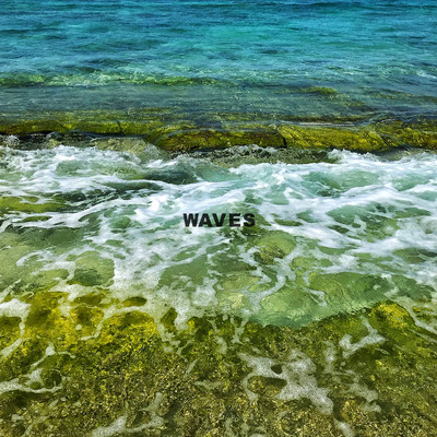 WAVESのジャケット写真