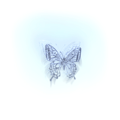 Phenomenoのジャケット写真