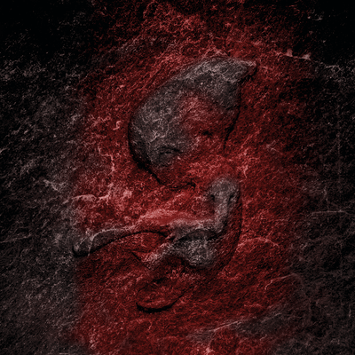 Tenkasuのジャケット写真