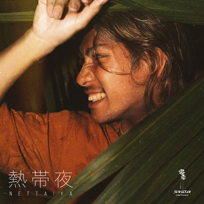熱帯夜のジャケット写真