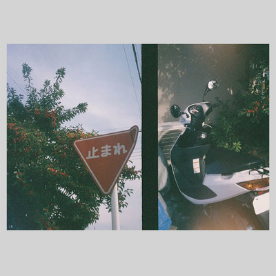 Singing in the rain Front Cover