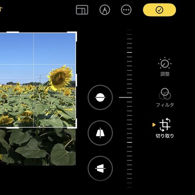 My Favorite Summer Front Cover