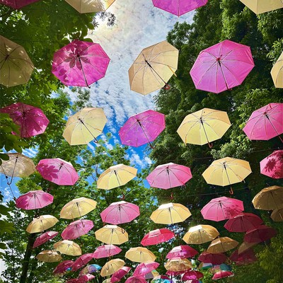 Thank you my regret Front Cover