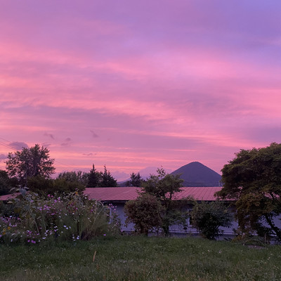 leave it to nature #101~#150 Front Cover