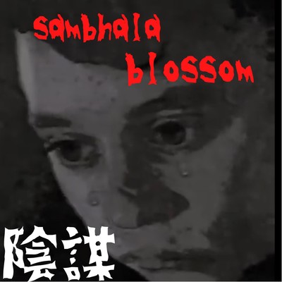 陰謀のジャケット写真