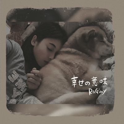 The Meaning of Happiness Front Cover