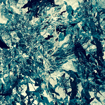 Scatless Front Cover