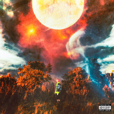 howling at the moon Front Cover