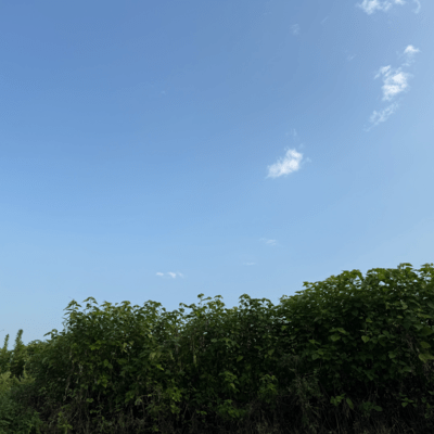 Unchanging 変わらぬもののジャケット写真