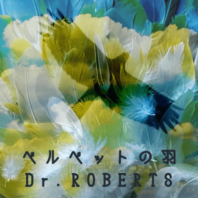 Velvet Feathers (Rock) Front Cover