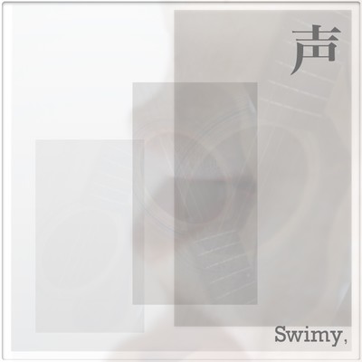 voice Front Cover