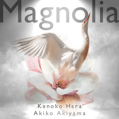 Magnolia Front Cover