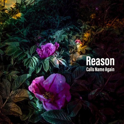 Reason Front Cover