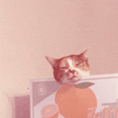 タオルケットのジャケット写真