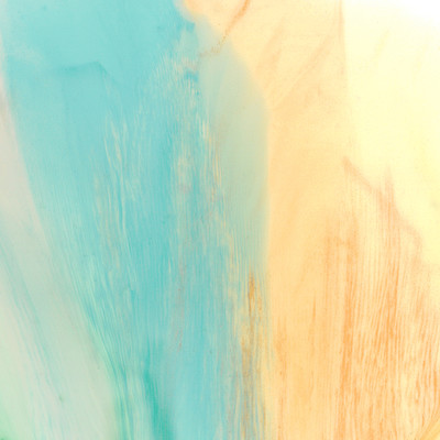 The Phantom of the Long Swim Front Cover