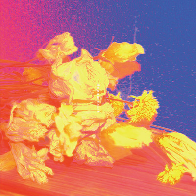 dried flower Front Cover