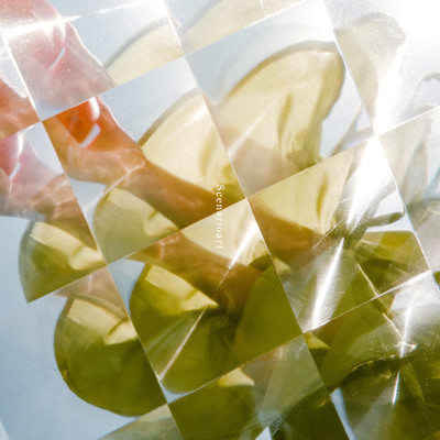 Blue Smell Front Cover