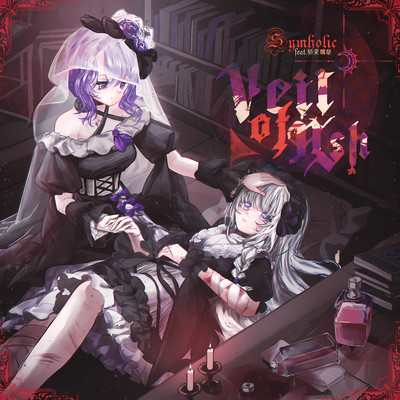 Veil of Ash Front Cover