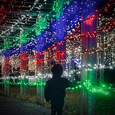 chiisanaotogibanashi Front Cover