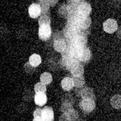 Every Blue Front Cover