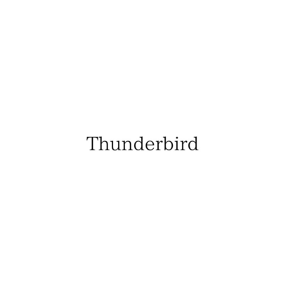 Thunderbird (feat. ENERGY) Front Cover