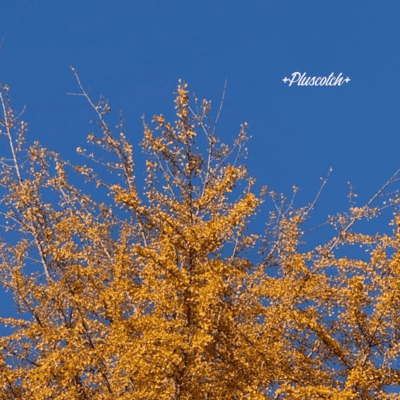 待ち合わせのジャケット写真